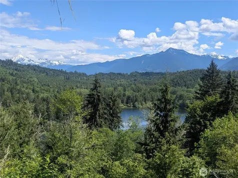 44957 Kachess Trail Concrete WA 98237