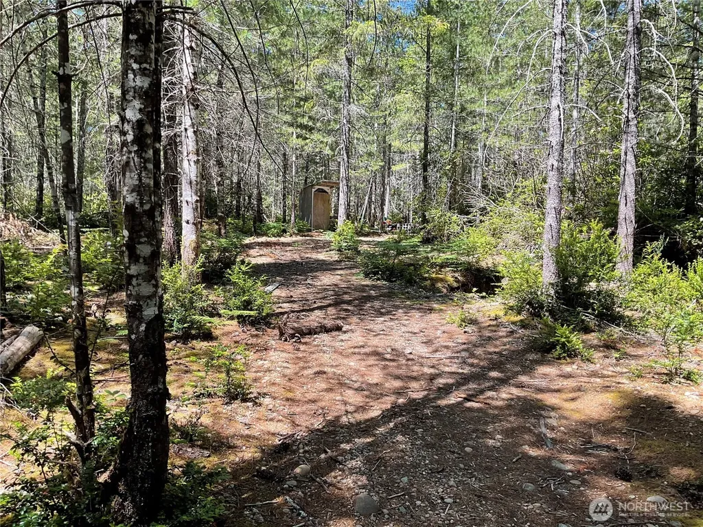 0 NE Shoe Lake Road Tahuya WA 98588