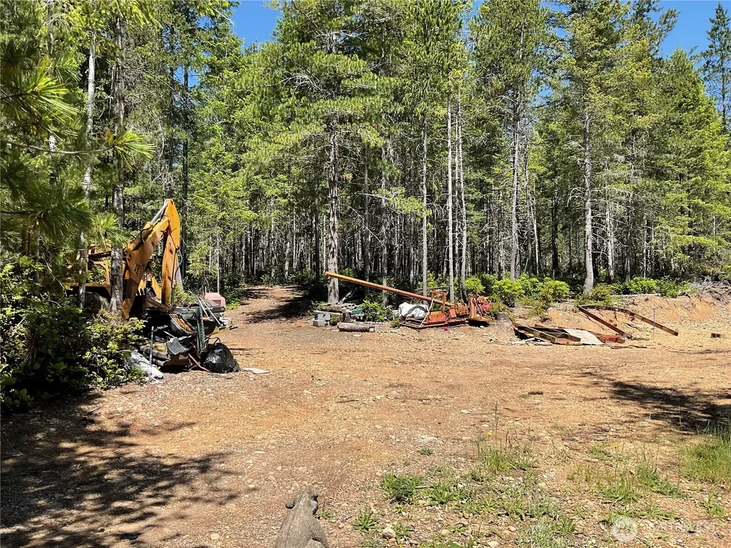 0 NE Shoe Lake Road Tahuya WA 98588