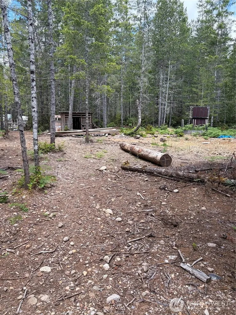 0 NE Shoe Lake Road Tahuya WA 98588