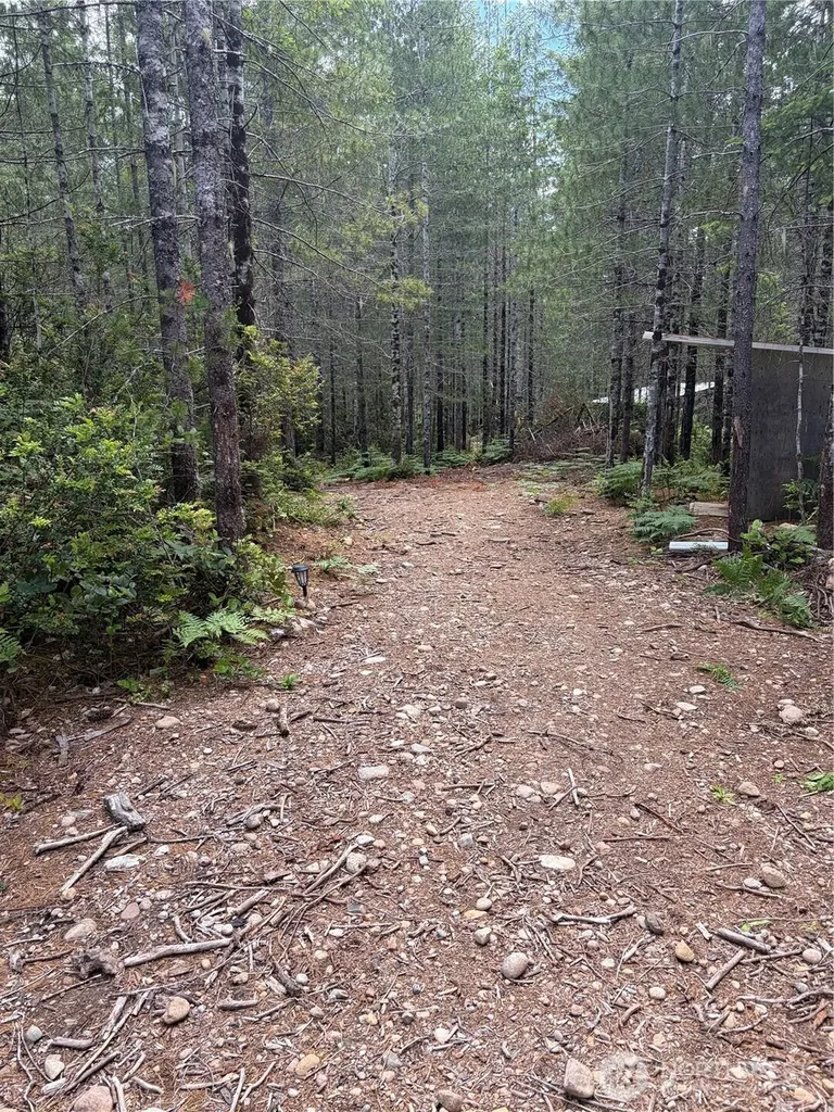 0 NE Shoe Lake Road Tahuya WA 98588