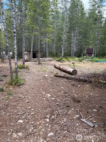 0 NE Shoe Lake Road Tahuya WA 98588