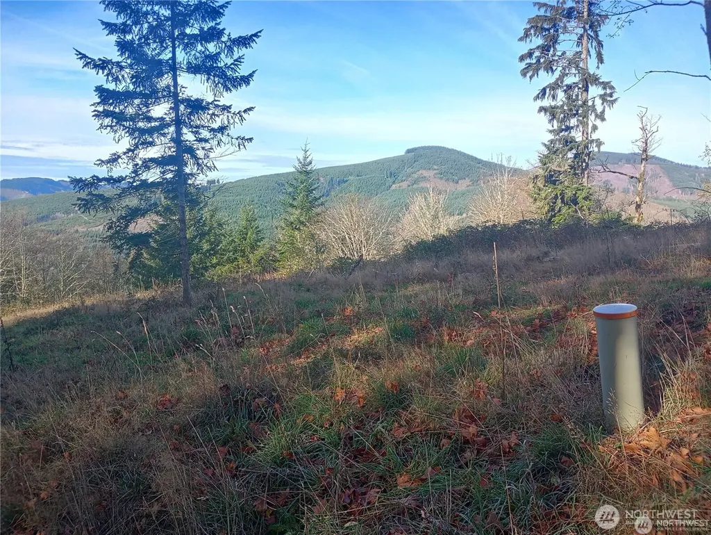167 Wagner Road Kelso WA 98626