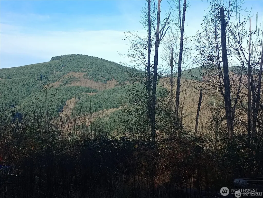 167 Wagner Road Kelso WA 98626