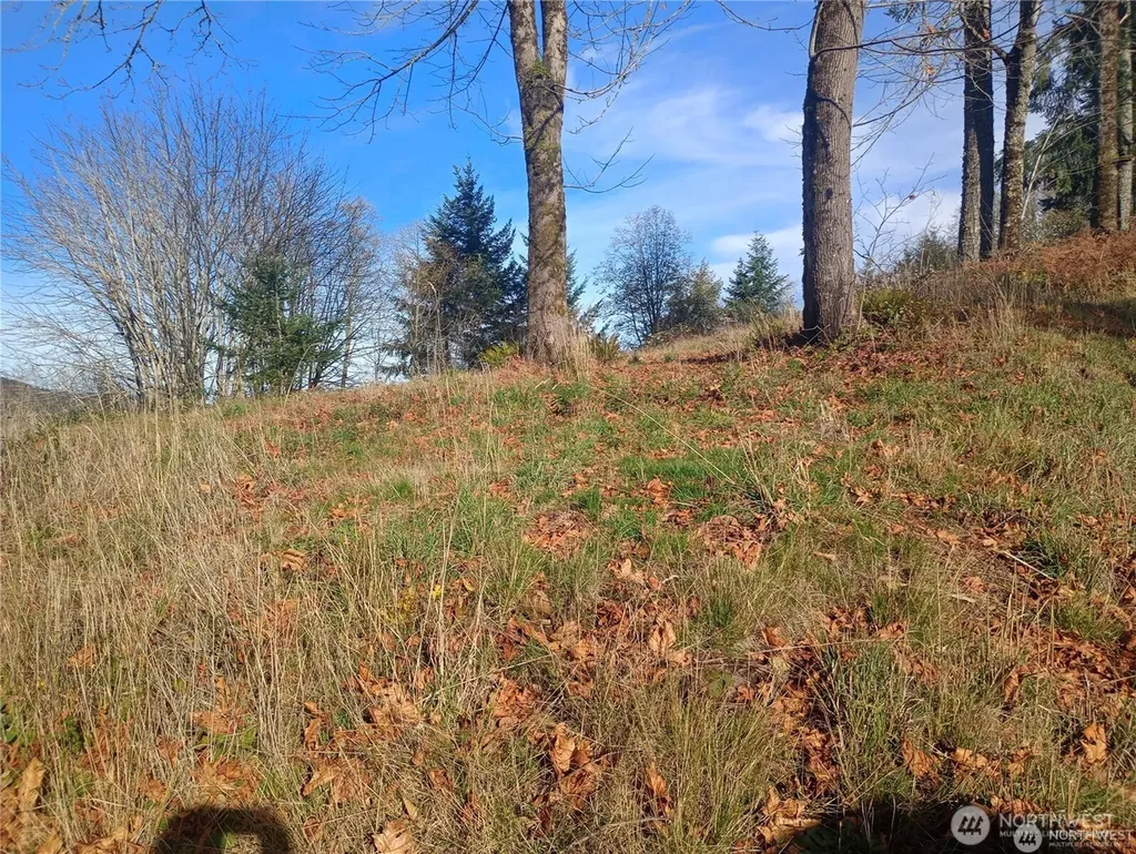 167 Wagner Road Kelso WA 98626