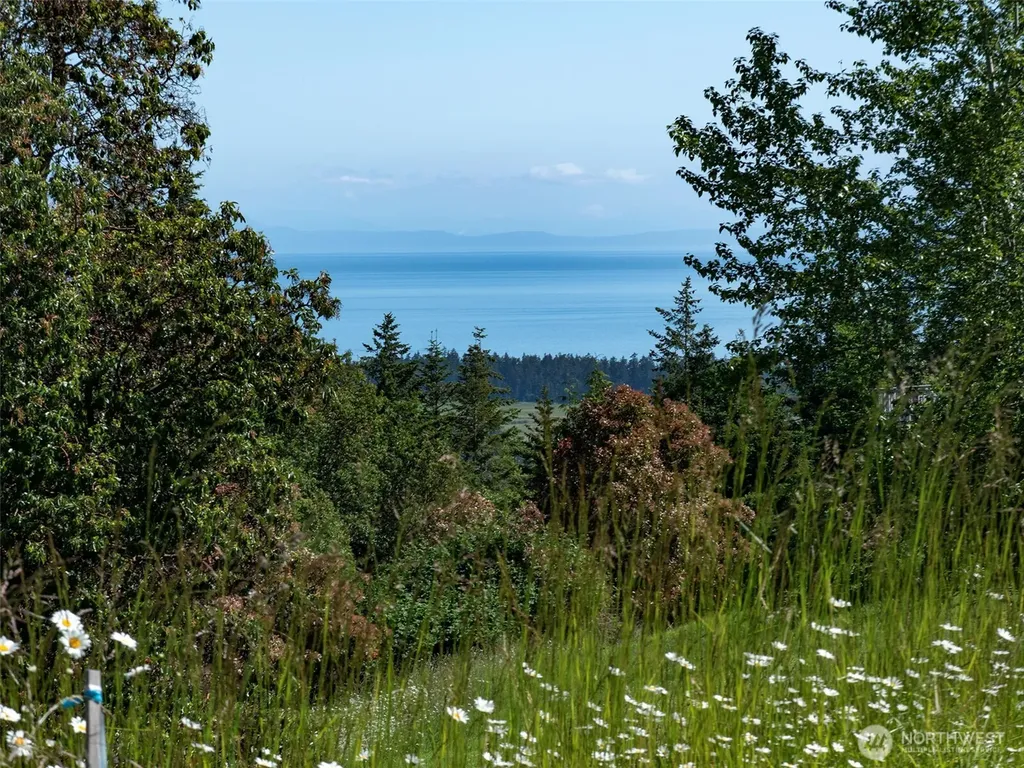 0 Owls Nest Road Sequim WA 98382