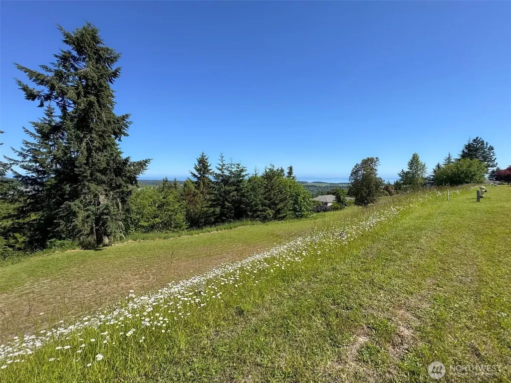 0 Owls Nest Road Sequim WA 98382