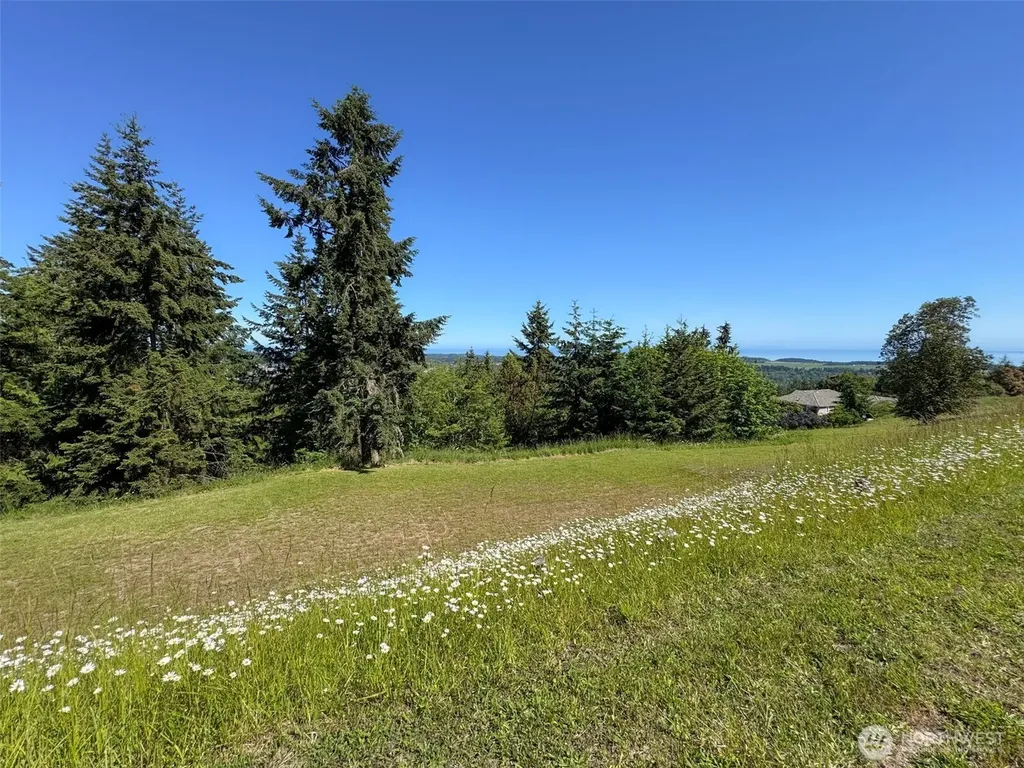 0 Owls Nest Road Sequim WA 98382