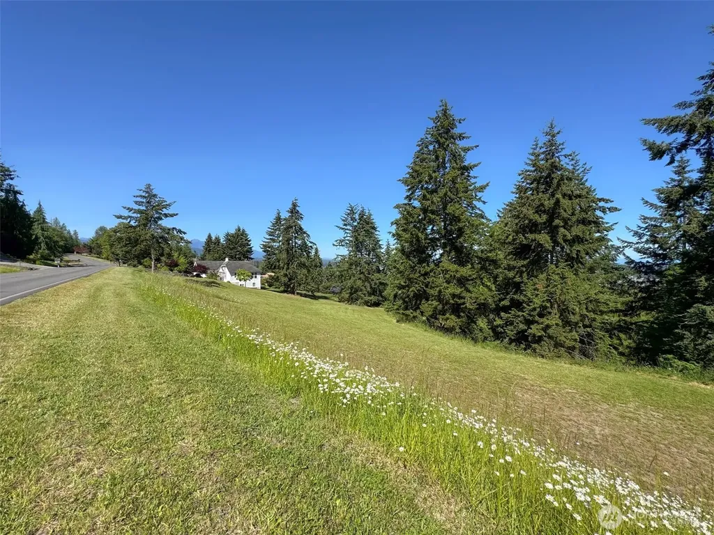 0 Owls Nest Road Sequim WA 98382