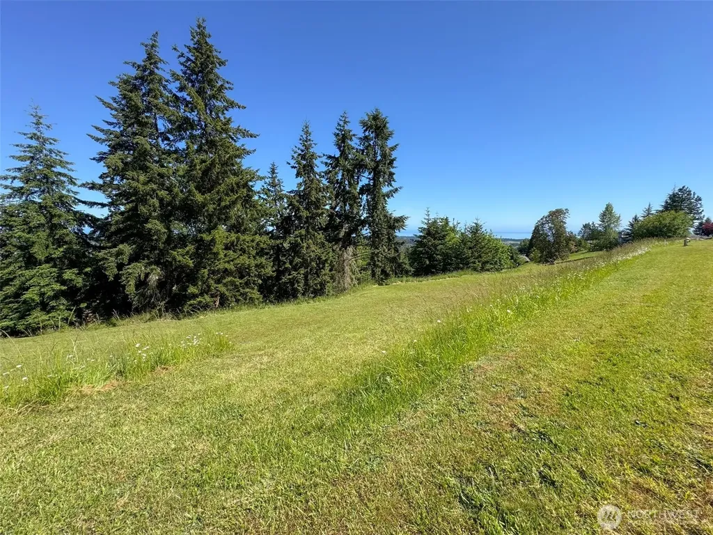 0 Owls Nest Road Sequim WA 98382