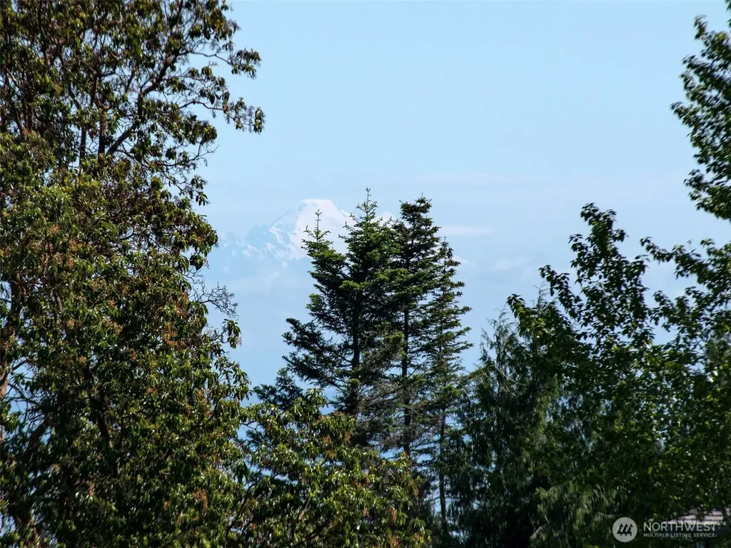 0 Owls Nest Road Sequim WA 98382