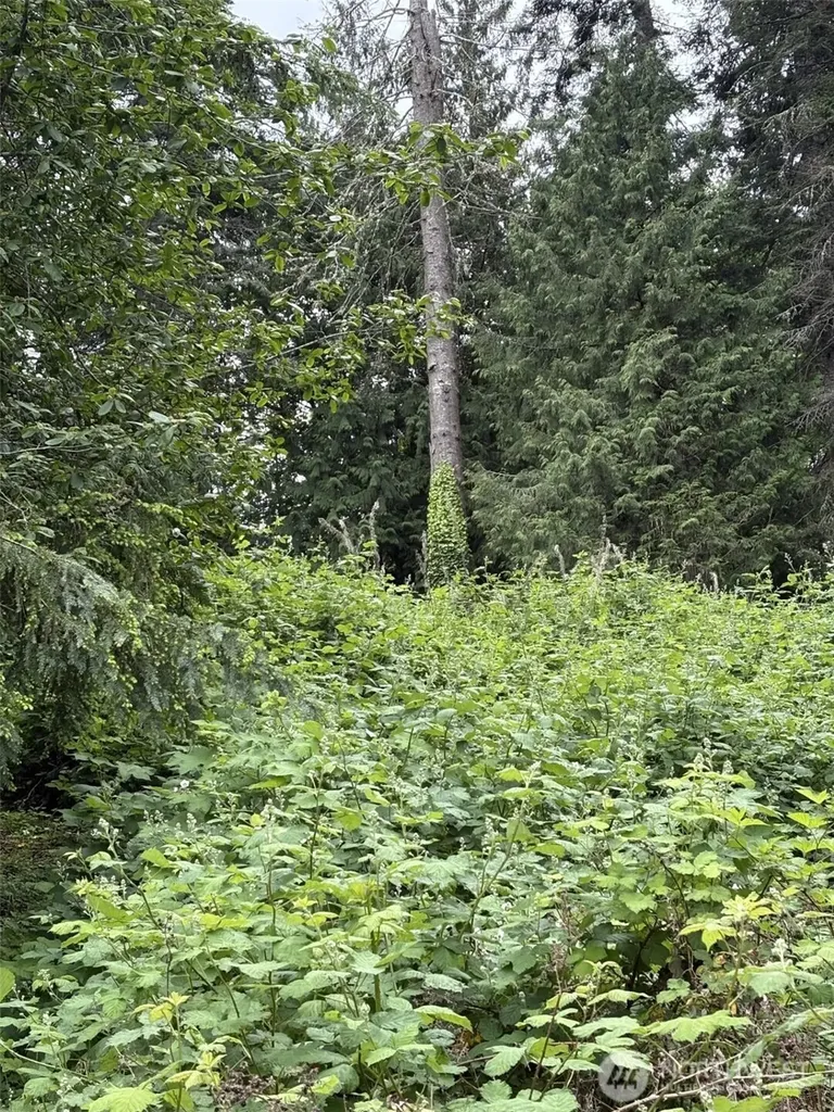 907 Summit Lake Shore Road NW Olympia WA 98502