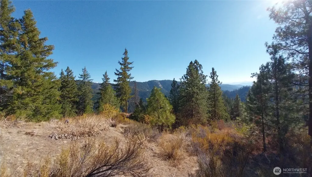 11685 Sunitsch Canyon Road Leavenworth WA 98826