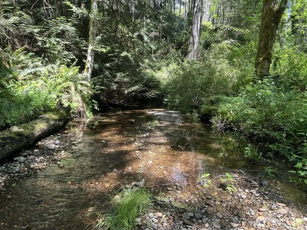 3791 NE Sandhill Belfair WA 98528