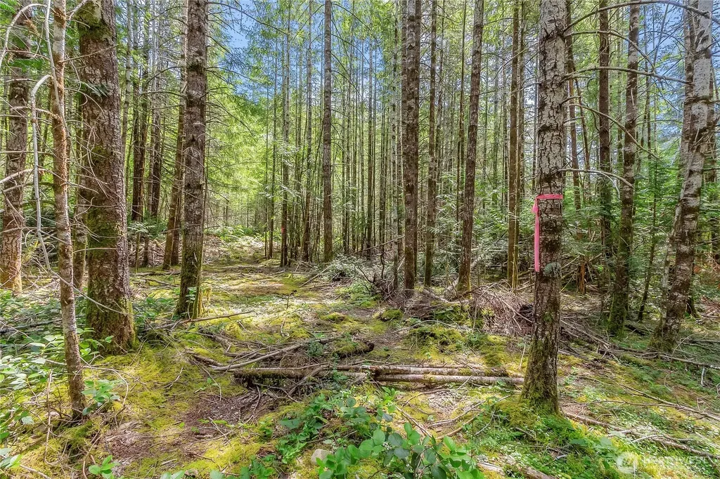 3791 NE Sandhill Belfair WA 98528