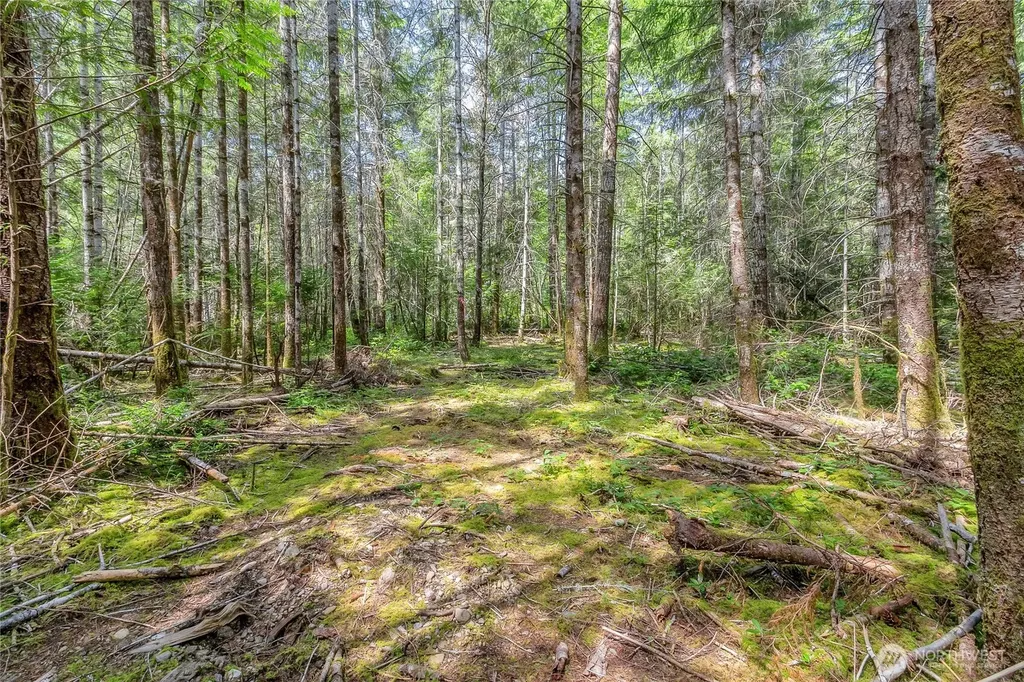 3791 NE Sandhill Belfair WA 98528