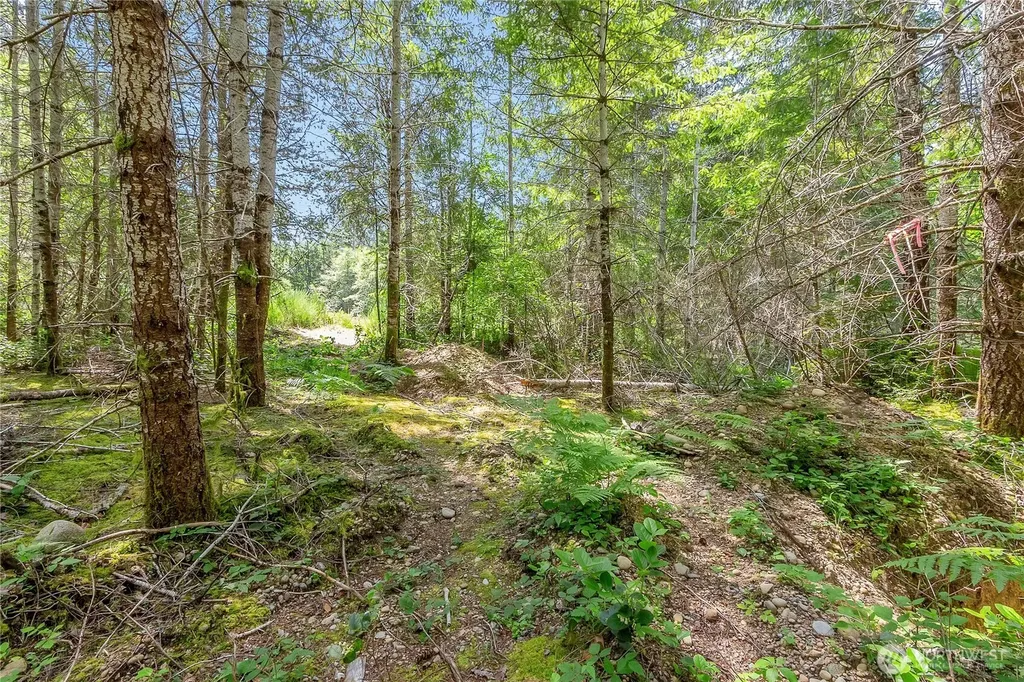 3791 NE Sandhill Belfair WA 98528