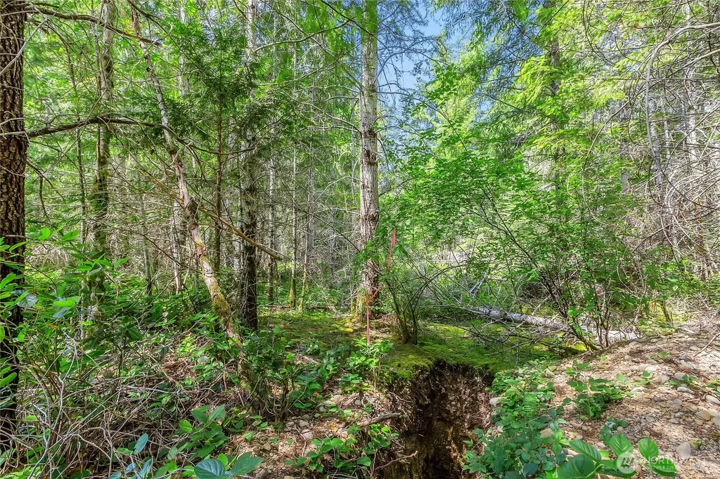 3791 NE Sandhill Belfair WA 98528