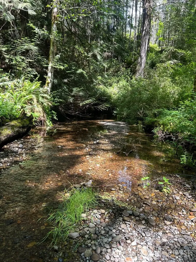 3791 NE Sandhill Belfair WA 98528