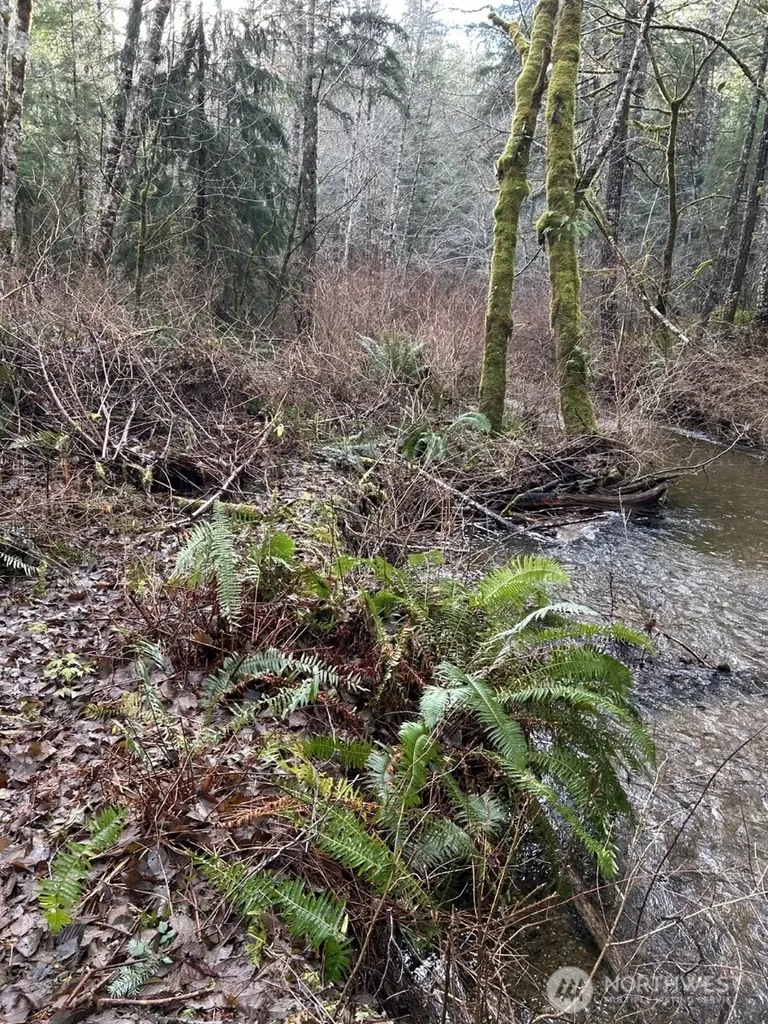 3791 NE Sandhill Belfair WA 98528