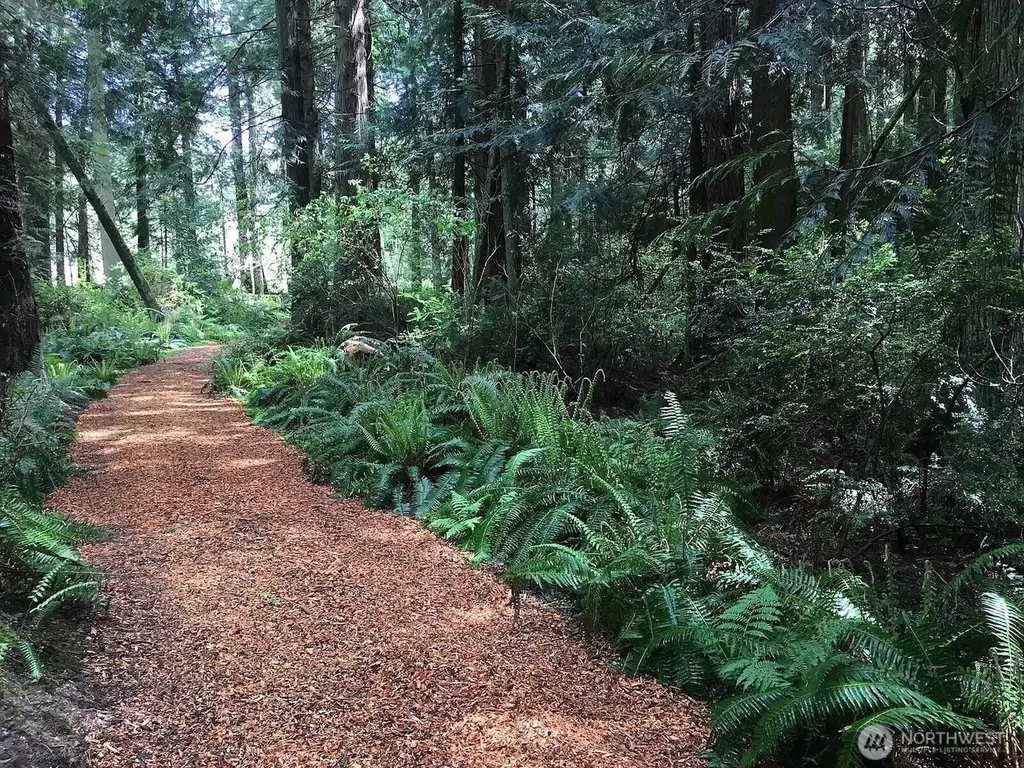 5127 E Harbor Road Freeland WA 98249