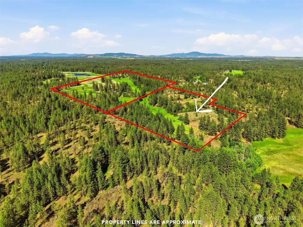 21818 S Frog Hollow Lane Cheney WA 99004