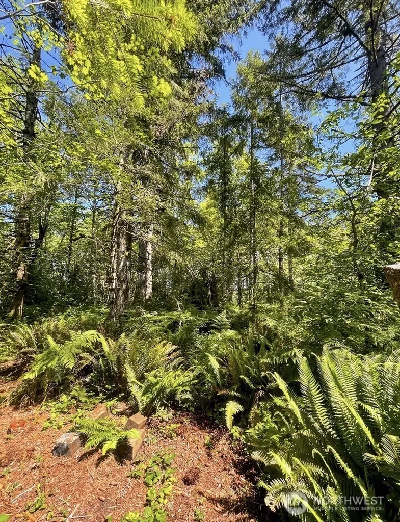 570 Elk Prairie Road Raymond WA 98577
