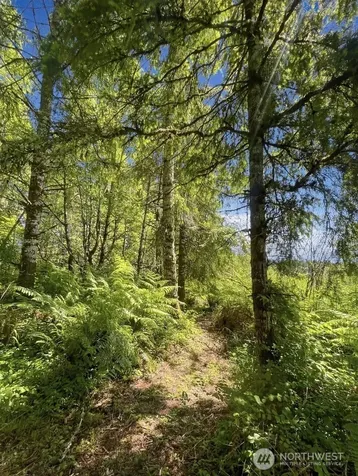 570 Elk Prairie Road Raymond WA 98577