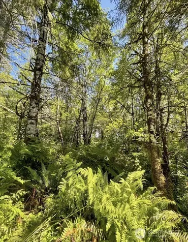 570 Elk Prairie Road Raymond WA 98577