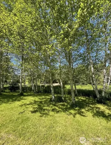 570 Elk Prairie Road Raymond WA 98577