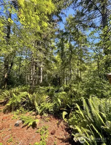 570 Elk Prairie Road Raymond WA 98577