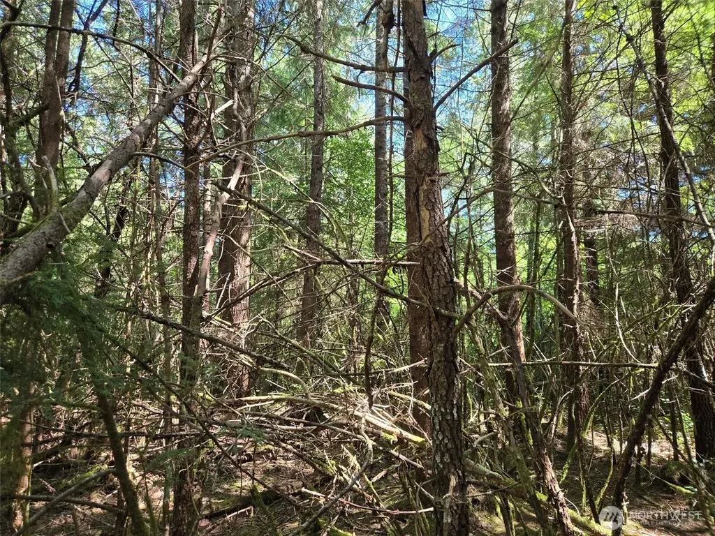 256 Walker Road Hoquiam WA 98550