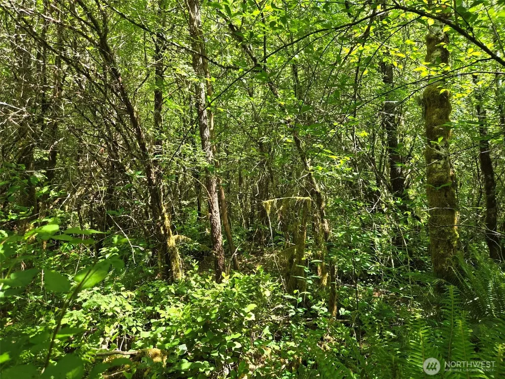 256 Walker Road Hoquiam WA 98550