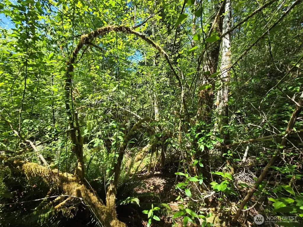 256 Walker Road Hoquiam WA 98550