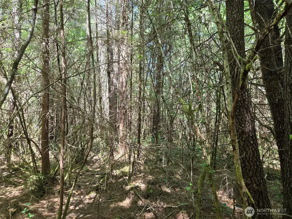 256 Walker Road Hoquiam WA 98550