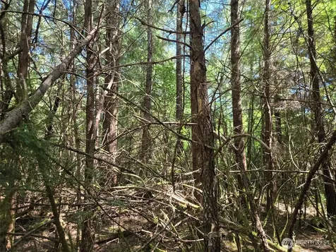 256 Walker Road Hoquiam WA 98550