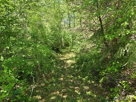 256 Walker Road Hoquiam WA 98550
