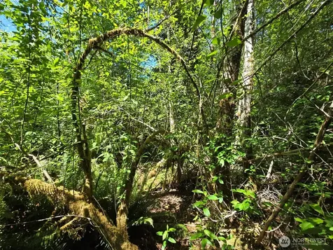 256 Walker Road Hoquiam WA 98550