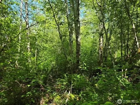 256 Walker Road Hoquiam WA 98550