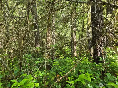 256 Walker Road Hoquiam WA 98550