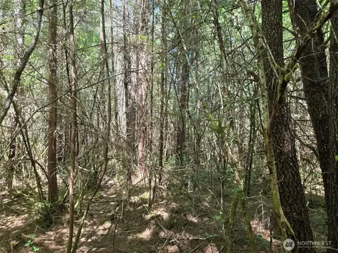 256 Walker Road Hoquiam WA 98550
