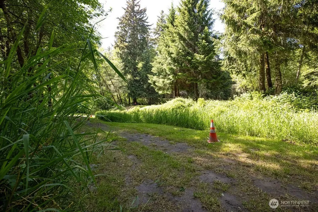 745 Green Road Forks WA 98331