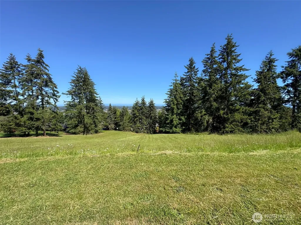 0 Owls Nest Road Sequim WA 98382