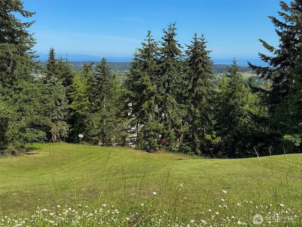 0 Owls Nest Road Sequim WA 98382