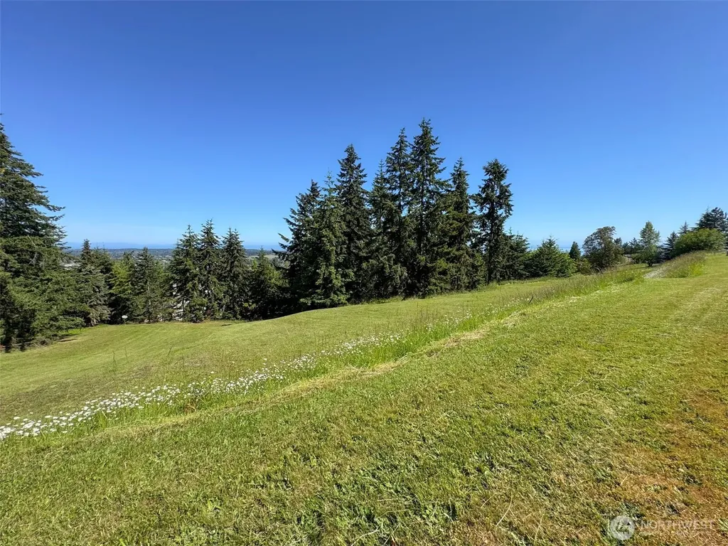 0 Owls Nest Road Sequim WA 98382
