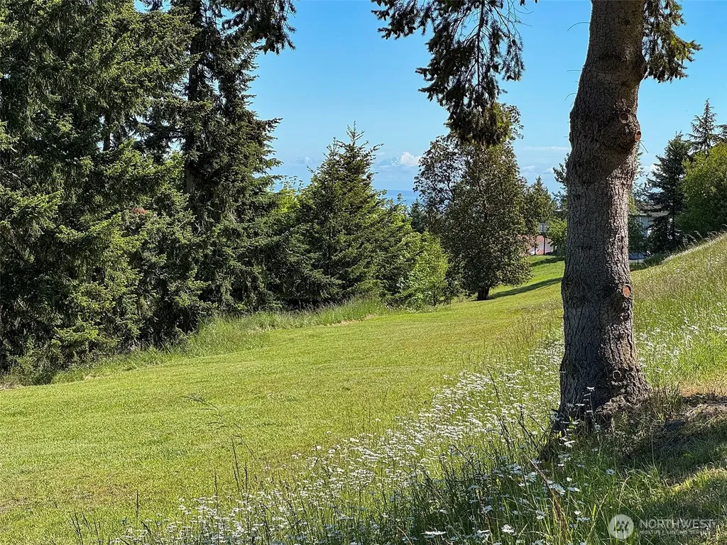 0 Owls Nest Road Sequim WA 98382