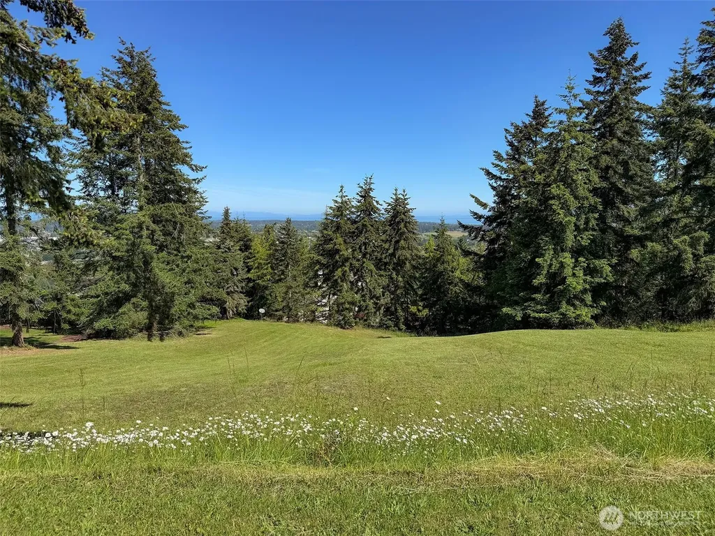 0 Owls Nest Road Sequim WA 98382