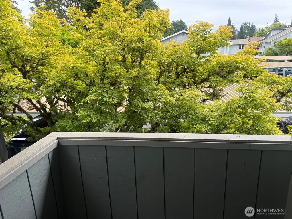 725 141st Place NE Bellevue WA 98007