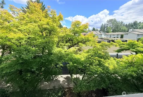 725 141st Place NE Bellevue WA 98007