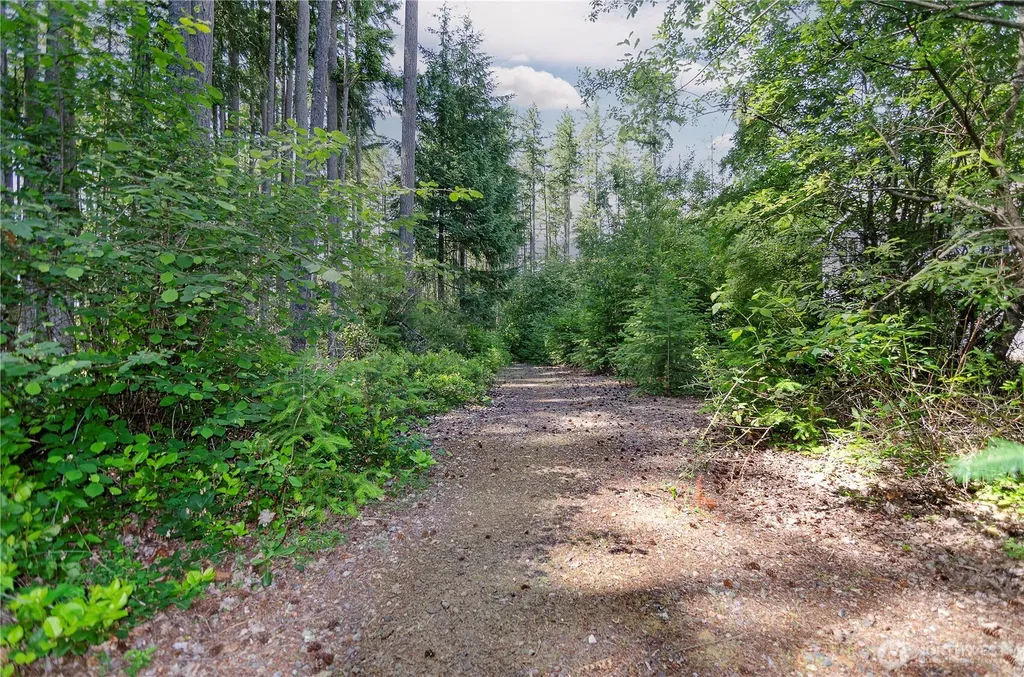 3800 Lanyard Drive NE Lacey WA 98516